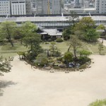 天守から見た本丸