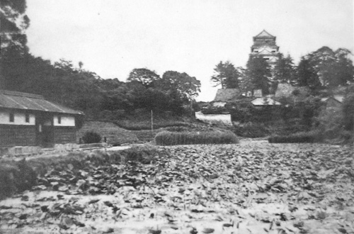 城下西側から撮影