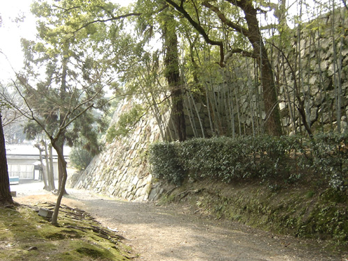 shiro00153d