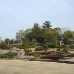 小丸山